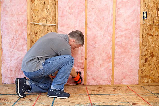 Best Insulation Maintenance and Repair in Pulaski, NY